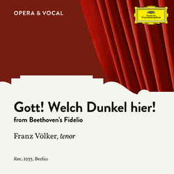 Cover of Beethoven: Fidelio, Op. 72: Gott, welch' Dunkel hier