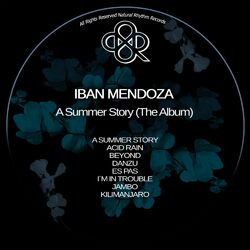 Cover of A Summer Story