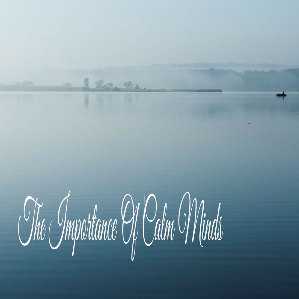 Picture of The Importance Of Calm Minds