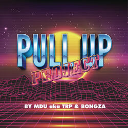 Cover of Pull Up Project
