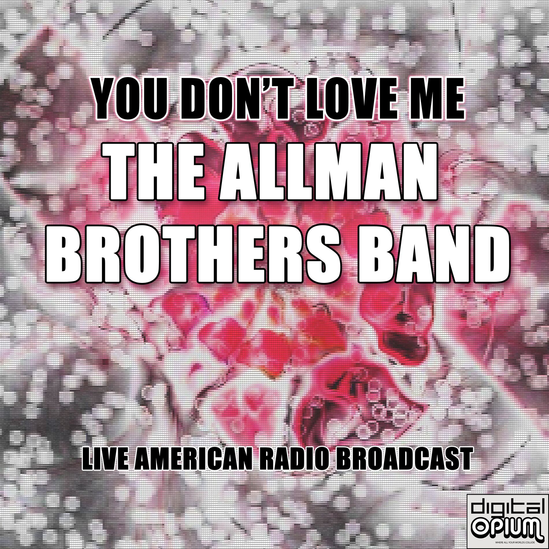 Album cover of You Don't Love Me (Live)