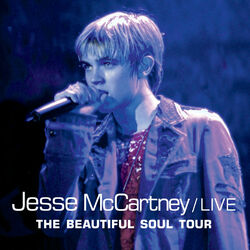 Cover of The Beautiful Soul Tour