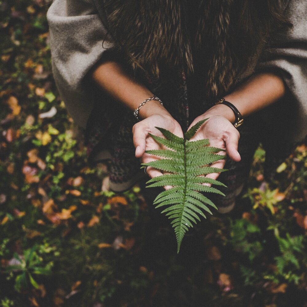 Picture of Sounds of Nature | Yoga | Spa Music | Spa Music