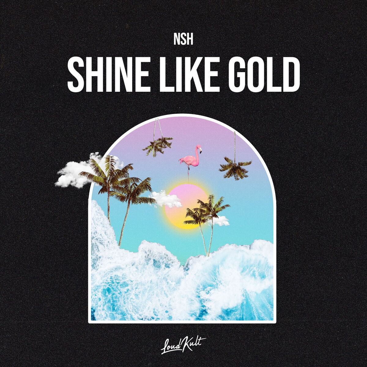 Album cover of Shine Like Gold
