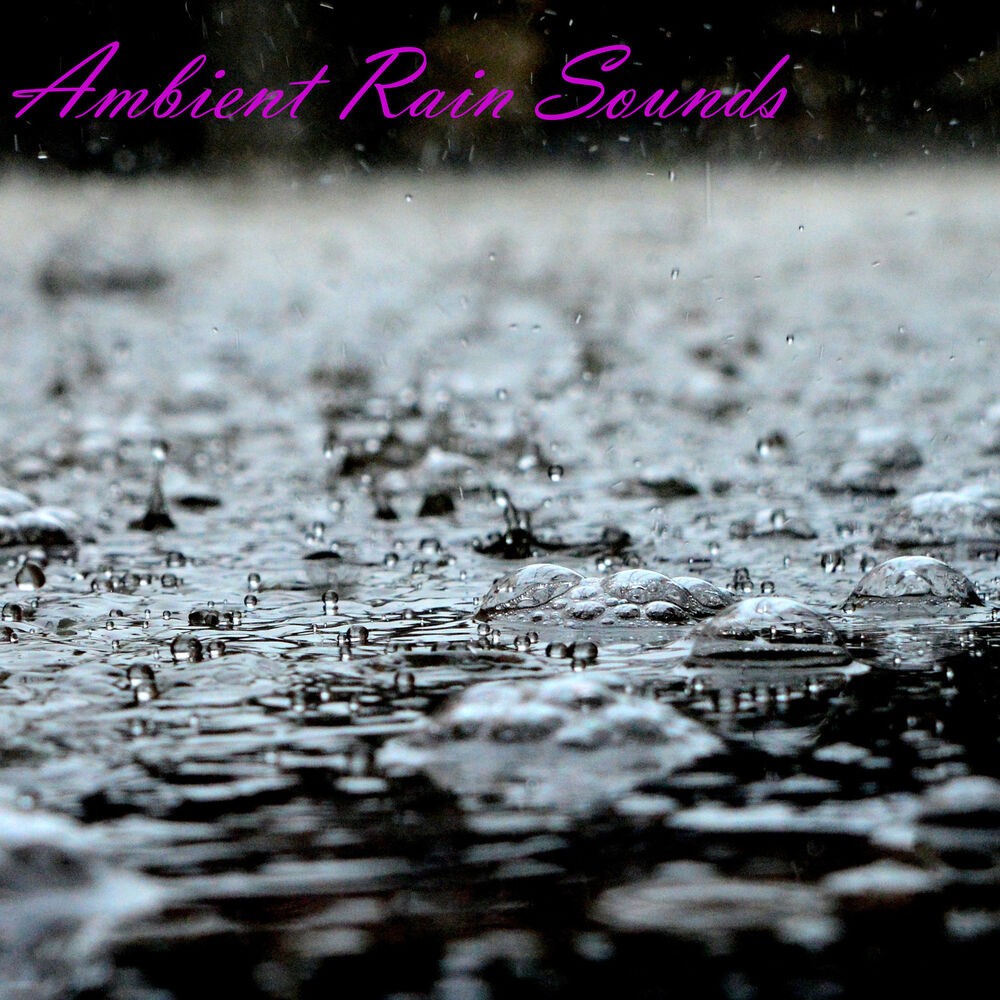 Picture of Ambient Rain Sounds