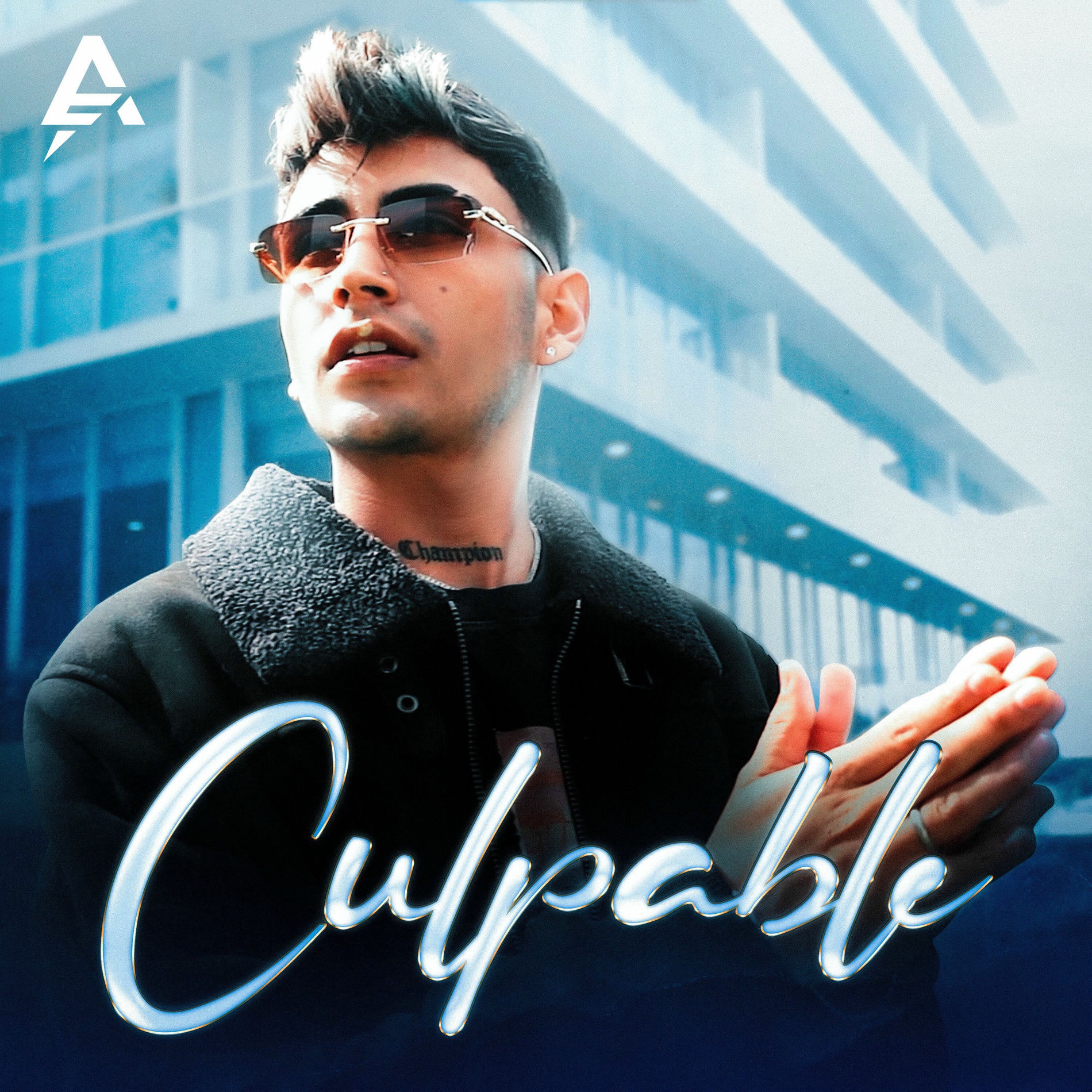 Album cover of Culpable
