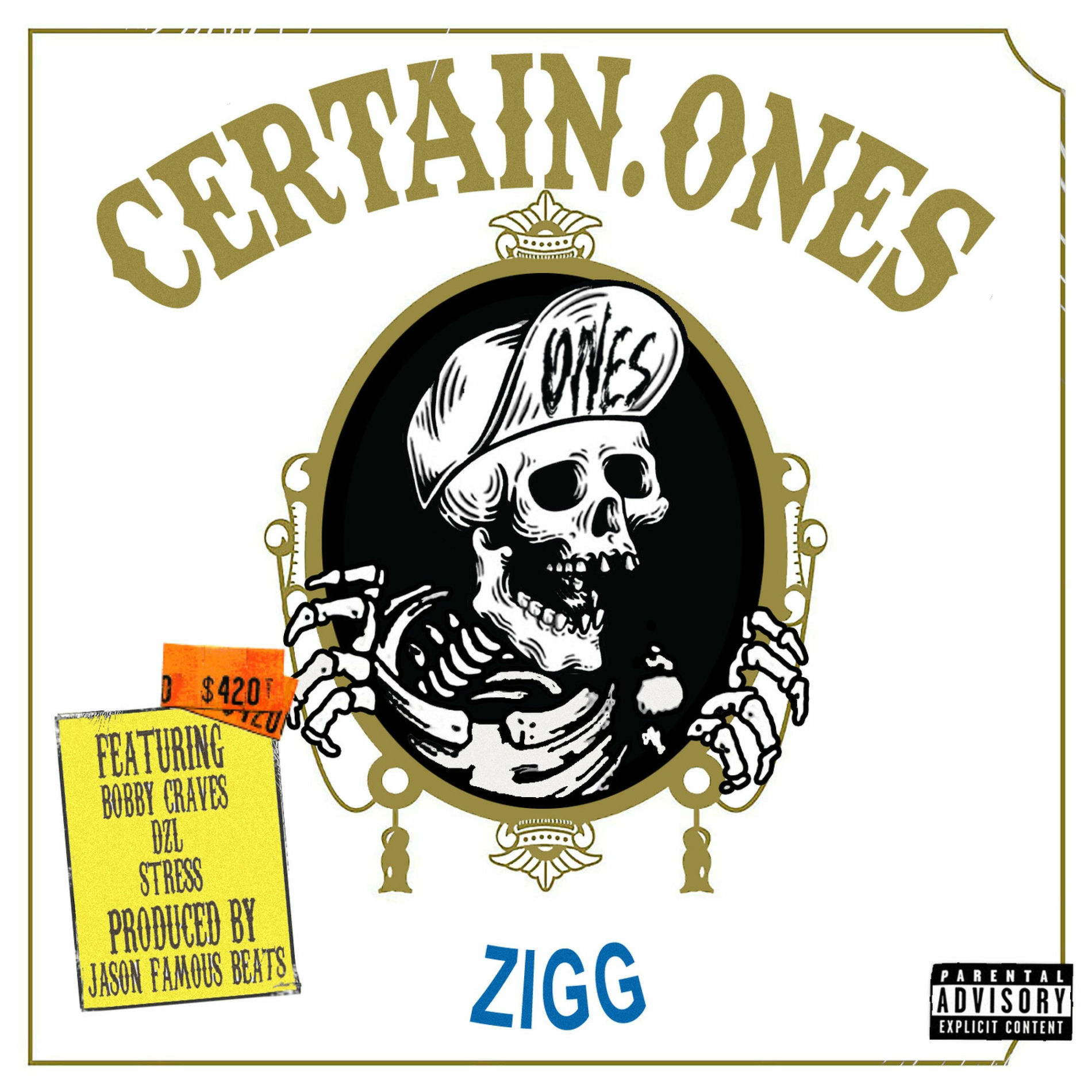 Album cover of Zigg (feat. Bobby Craves, Dzl1, Stress & Jason Famous Beats)