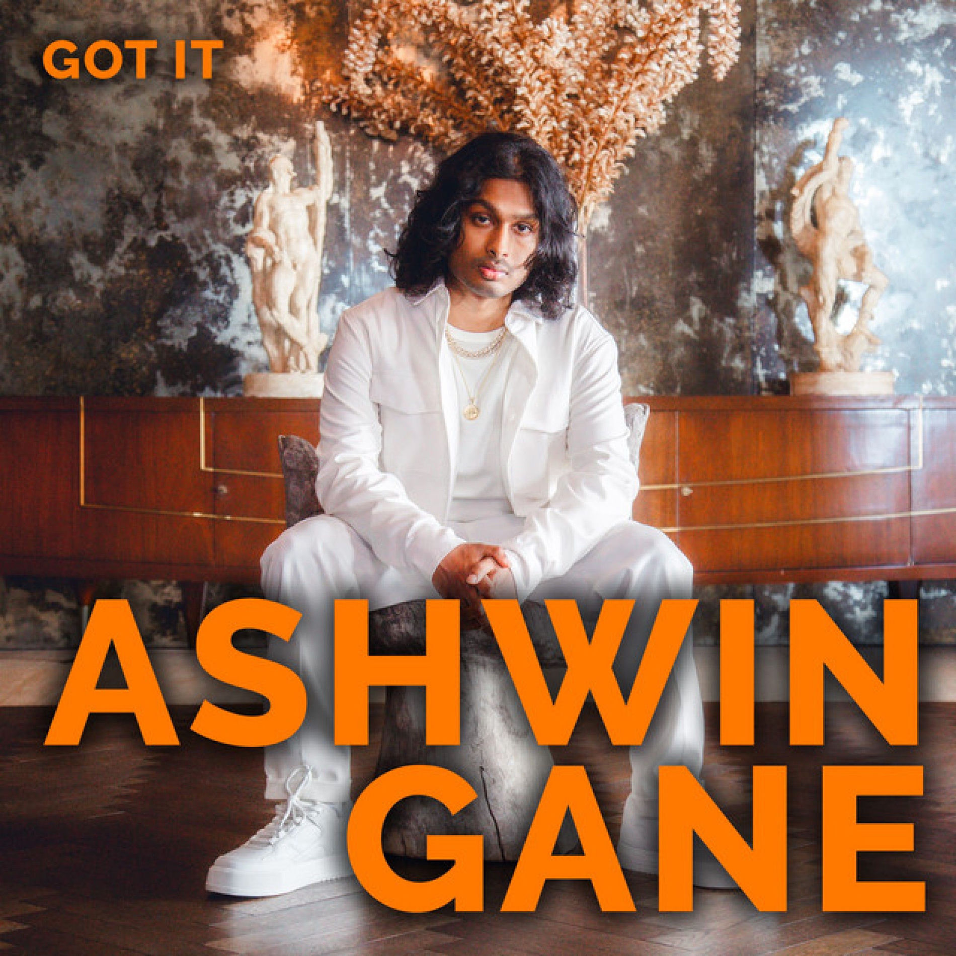 Album cover of Got It