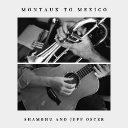 Cover of Montauk to Mexico