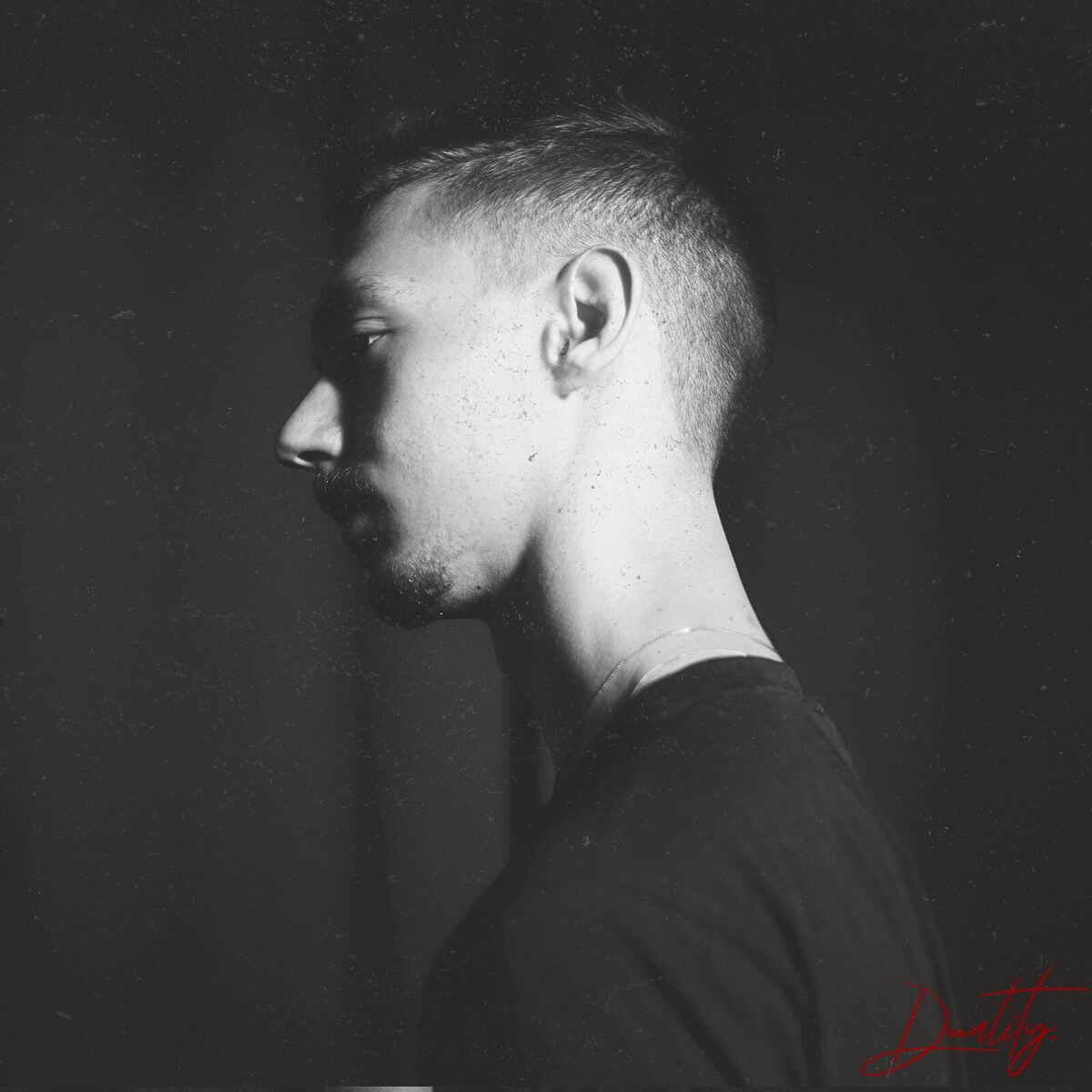 Album cover of Duality