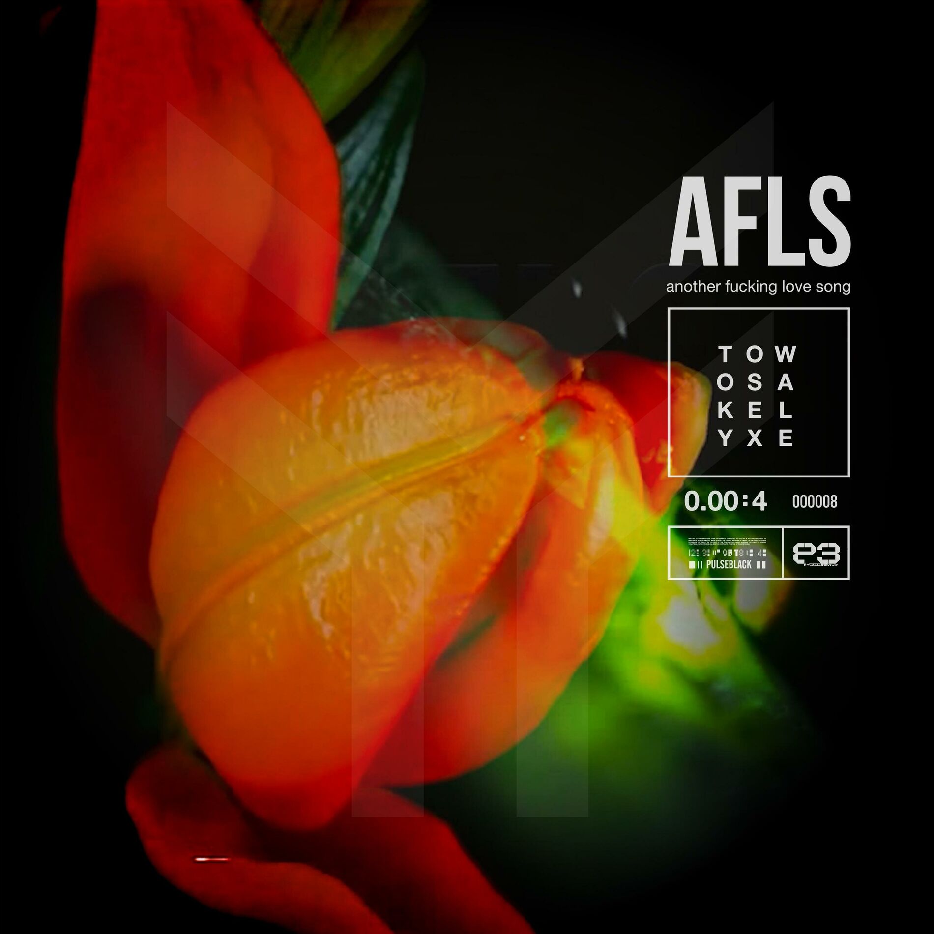 Album cover of Another Fucking Love Song
