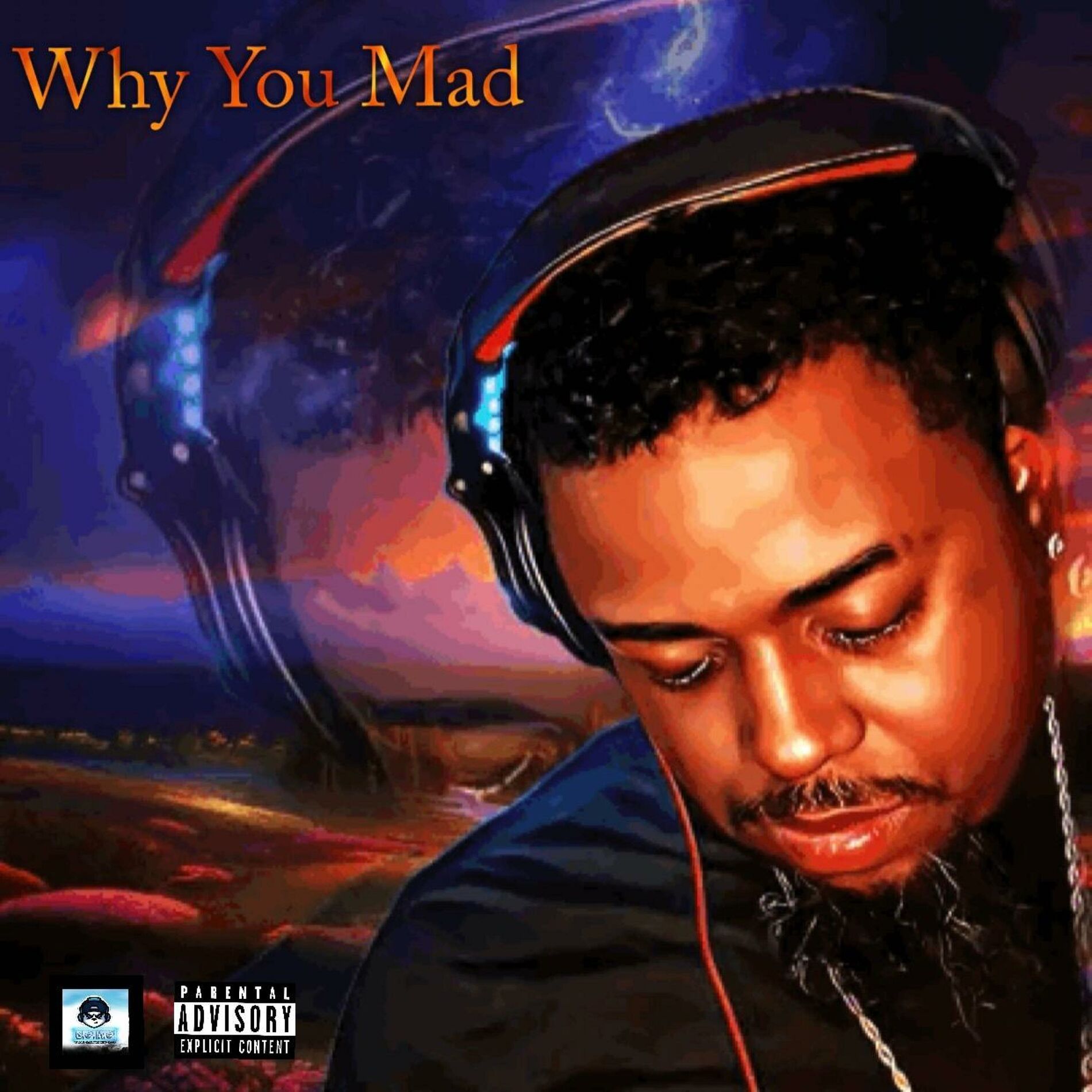 Album cover of Why You Mad