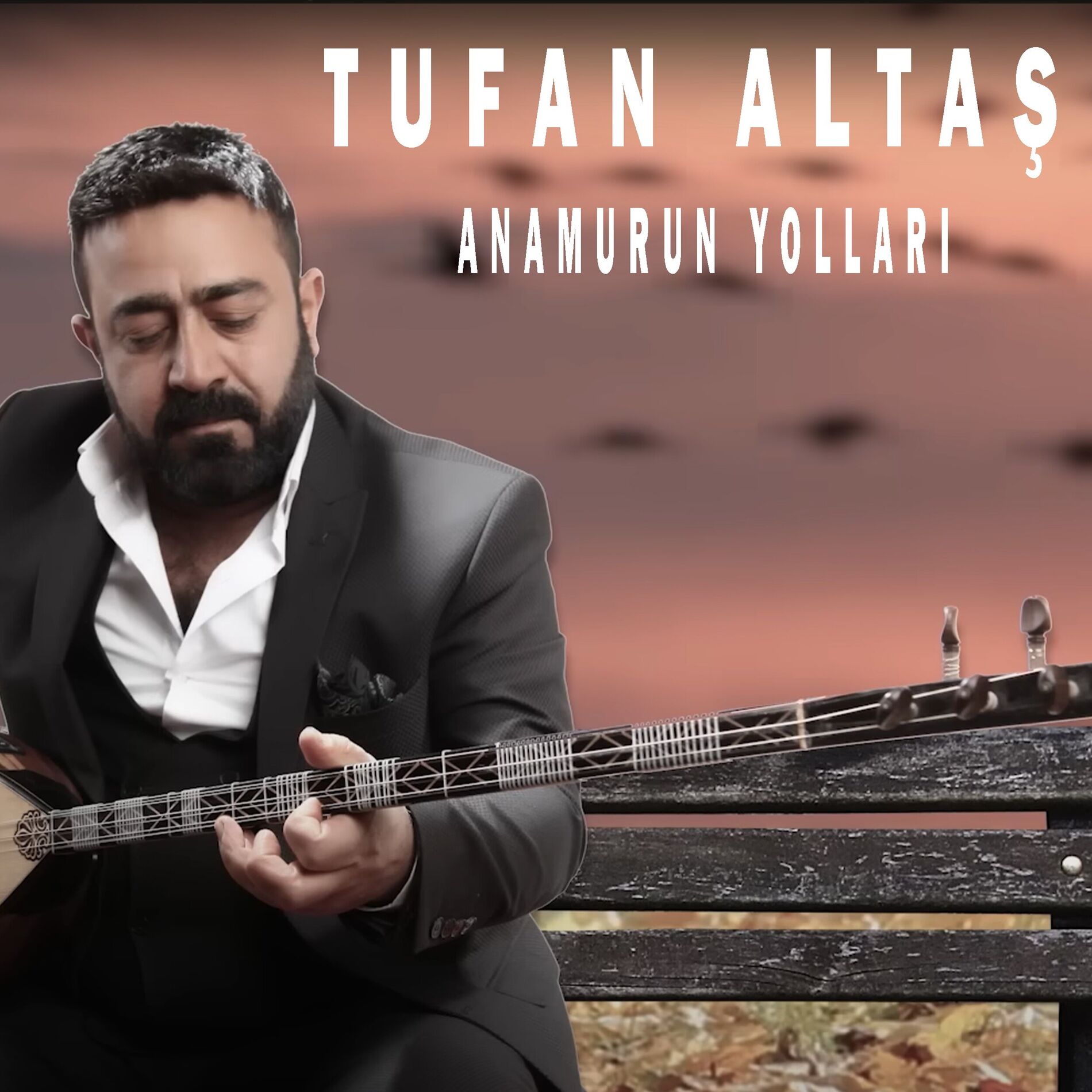 Album cover of Anamurun Yolları