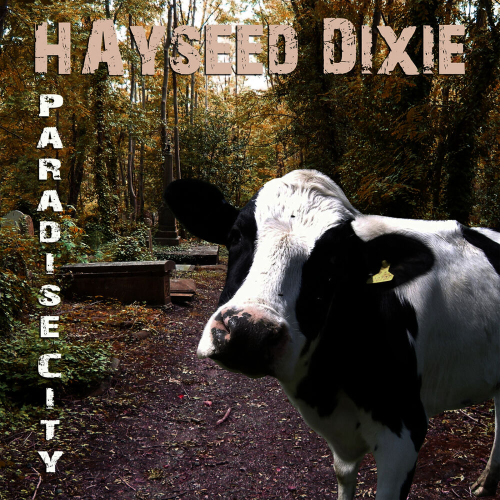 Picture of Paradise City single