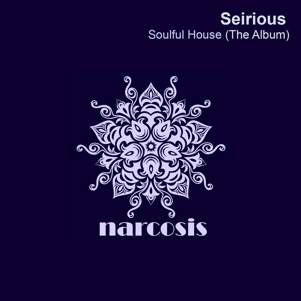 Picture of Soulful House (The Album)