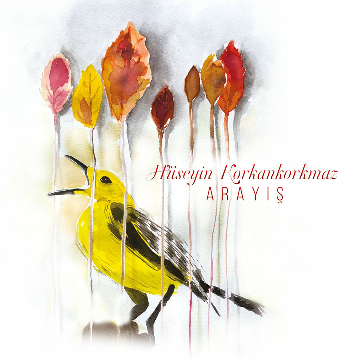 Album cover of Arayış