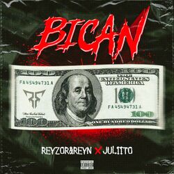 Cover of Bican
