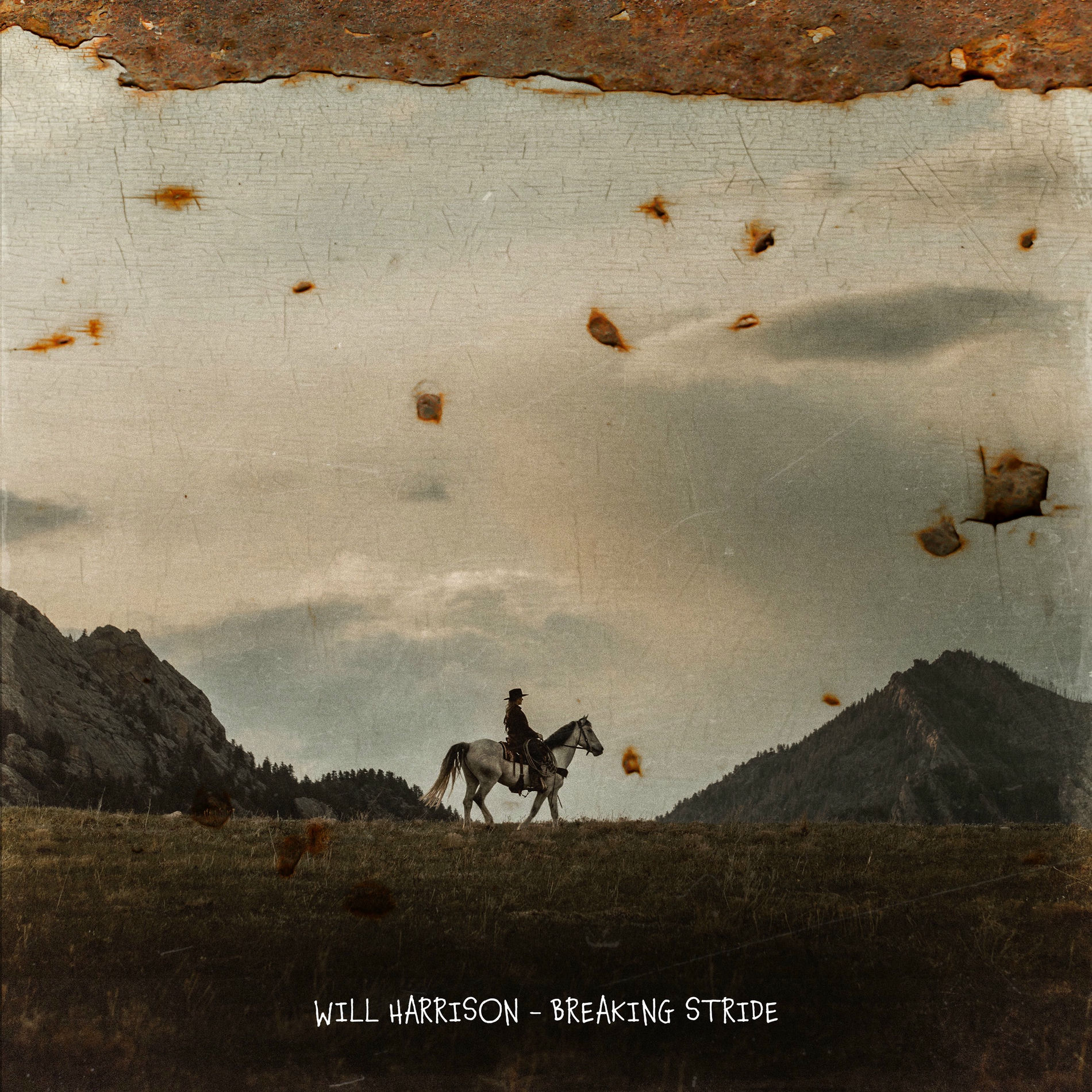 Album cover of Desert Fire Blues