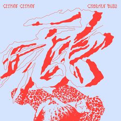 Cover of Chagrin Bleu