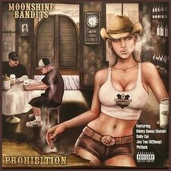 Cover of Prohibition