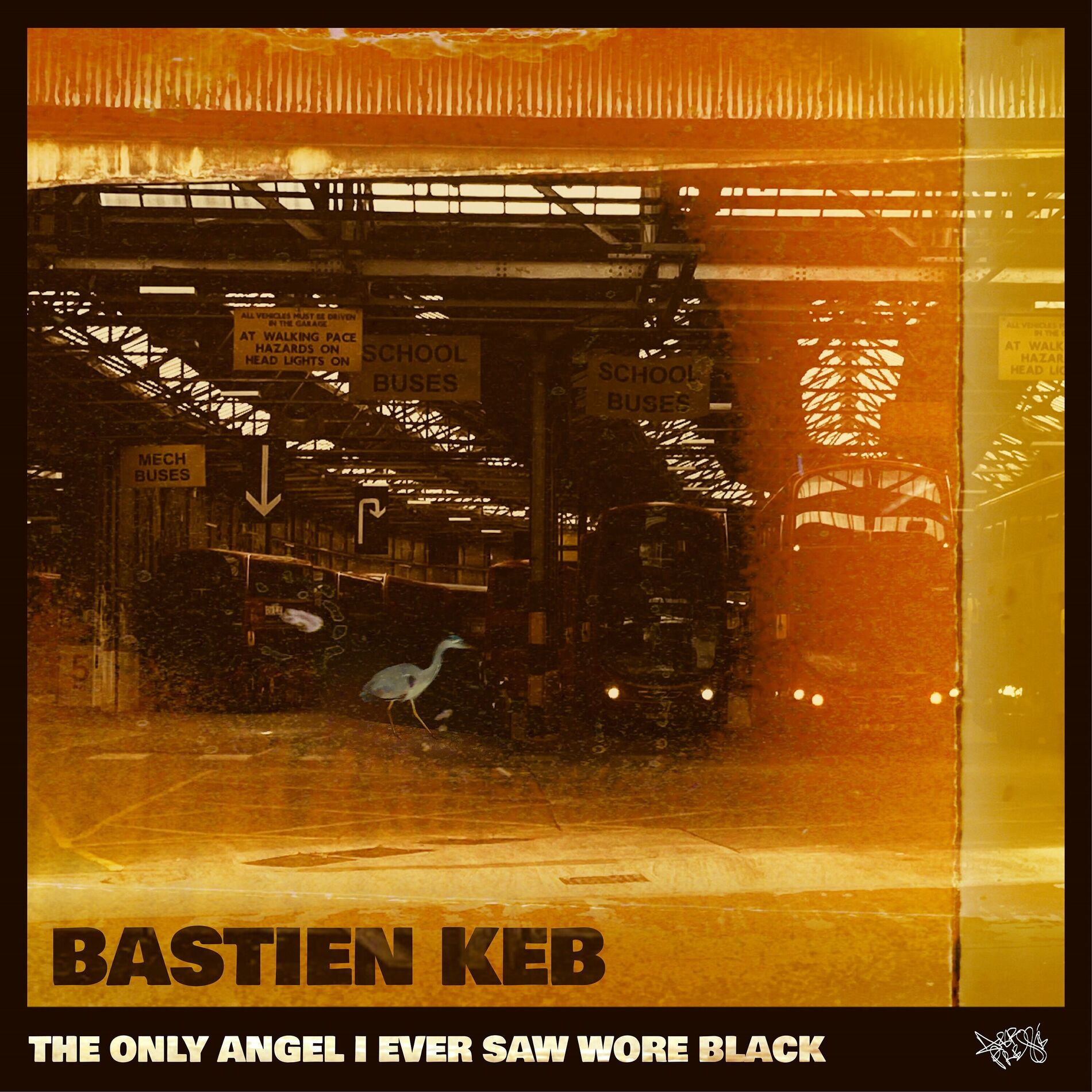 Album cover of The Only Angel I Ever Saw Wore Black