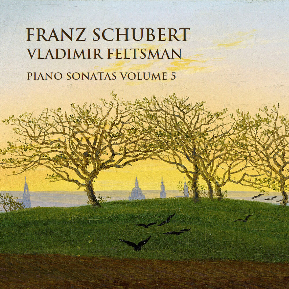 Picture of Schubert: Piano Sonatas Vol. 5