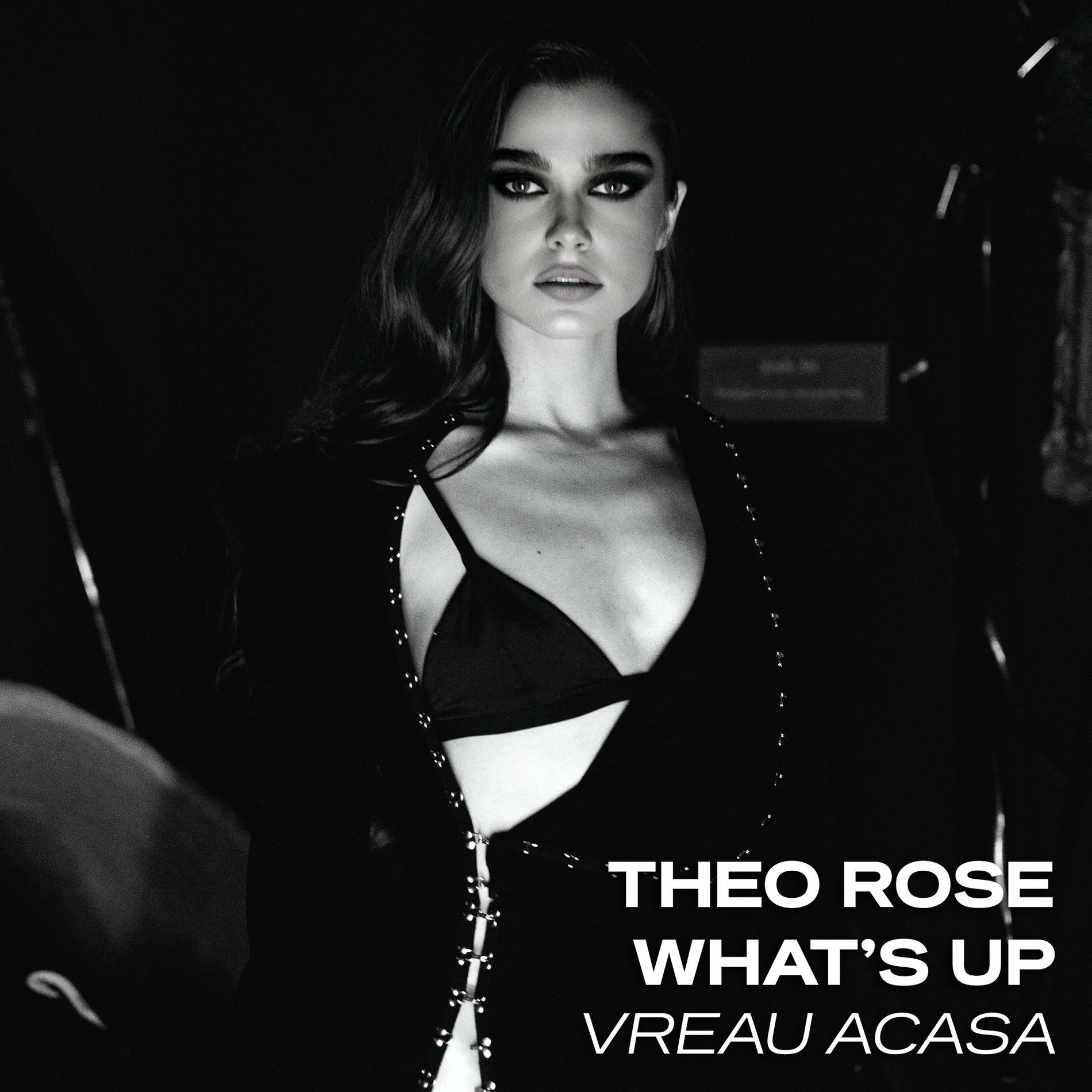 Album cover of Vreau Acasa