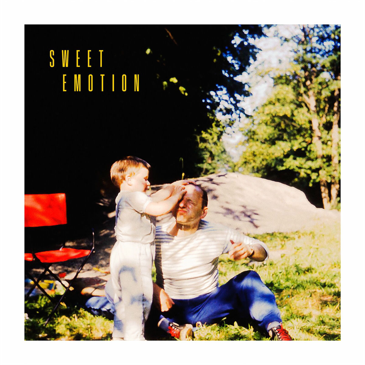 Album cover of Sweet Emotion