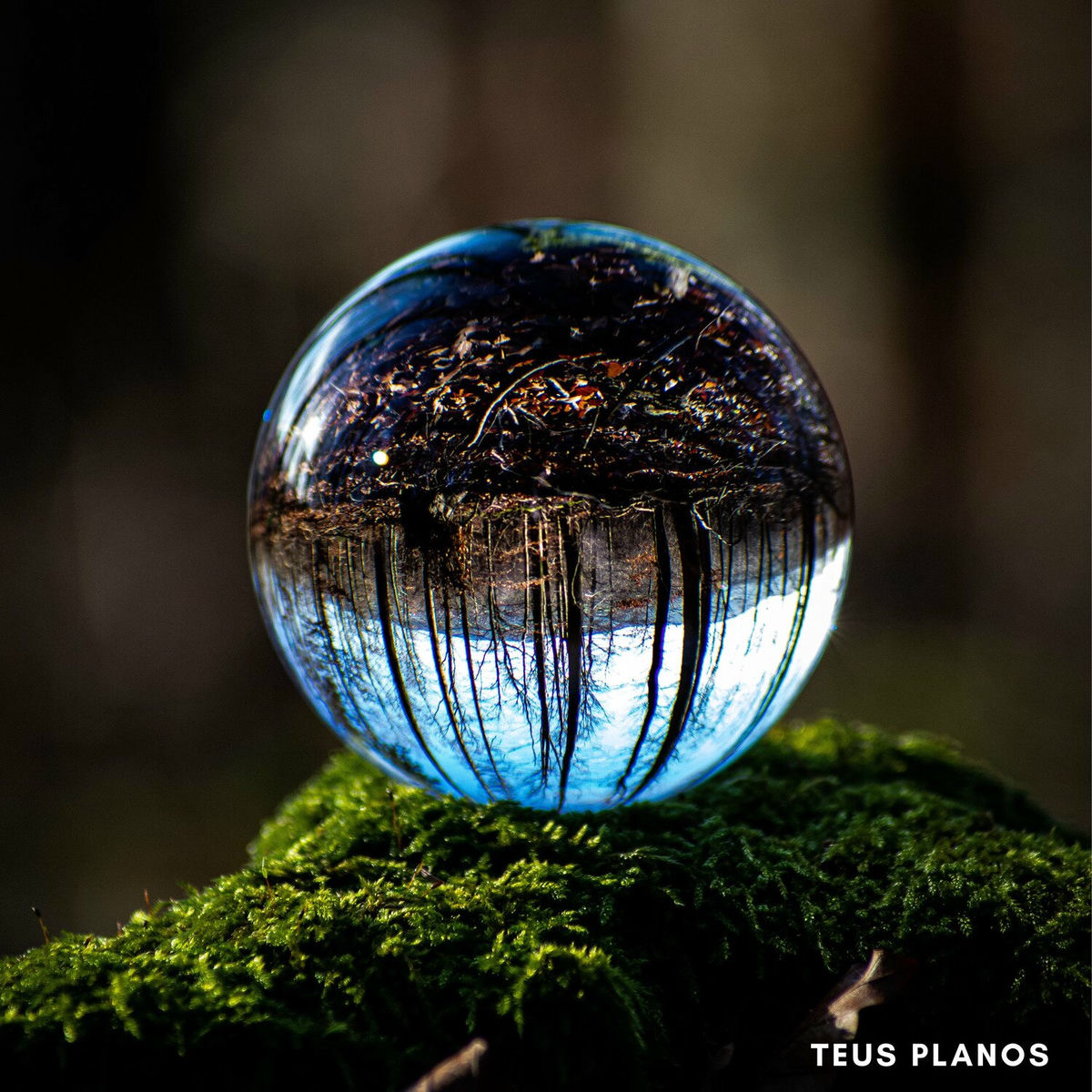 Album cover of Teus Planos