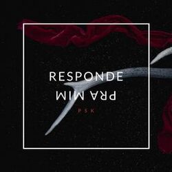 Cover of Responde Pra Mim
