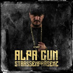 Cover of Straßenpräsenz