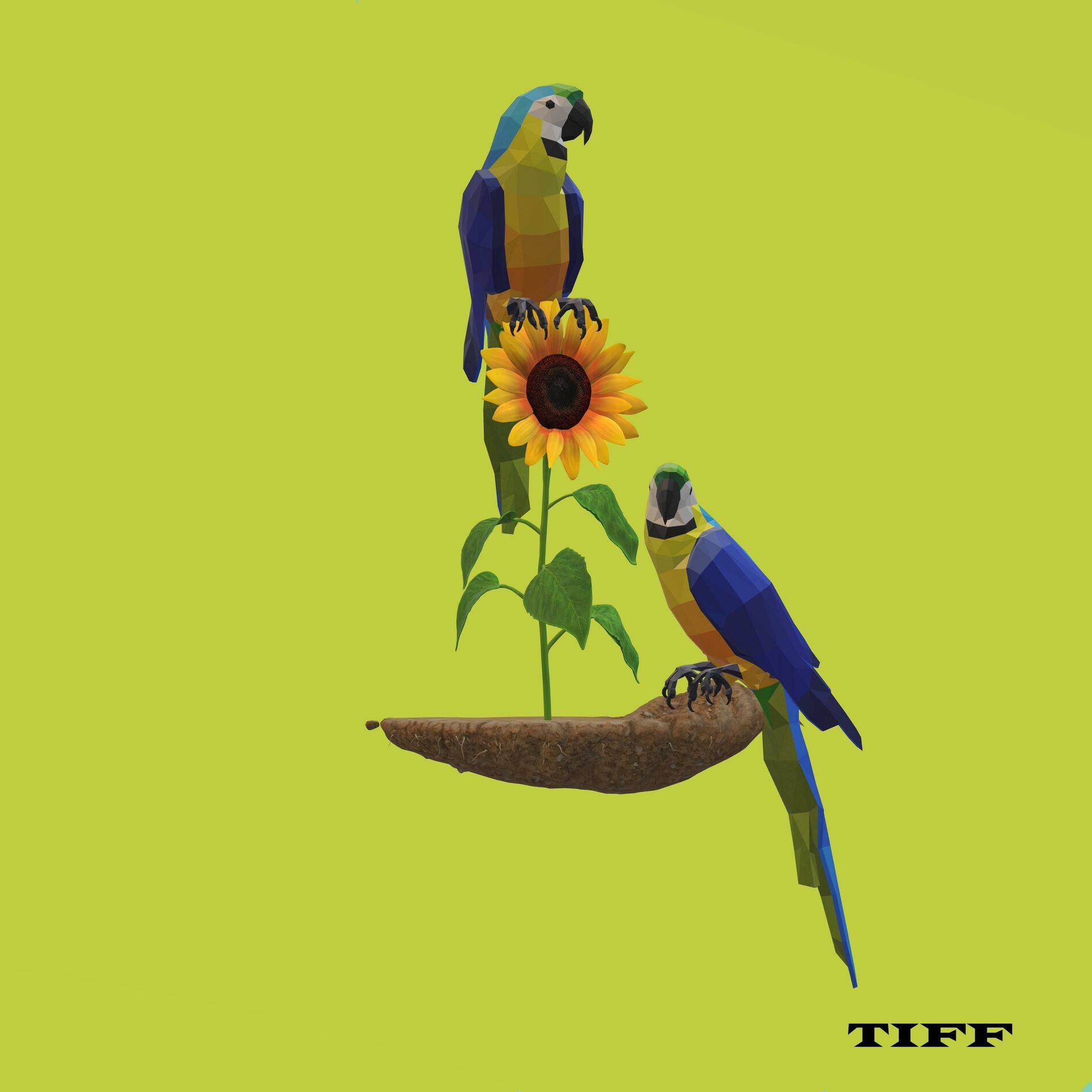 Album cover of Vital