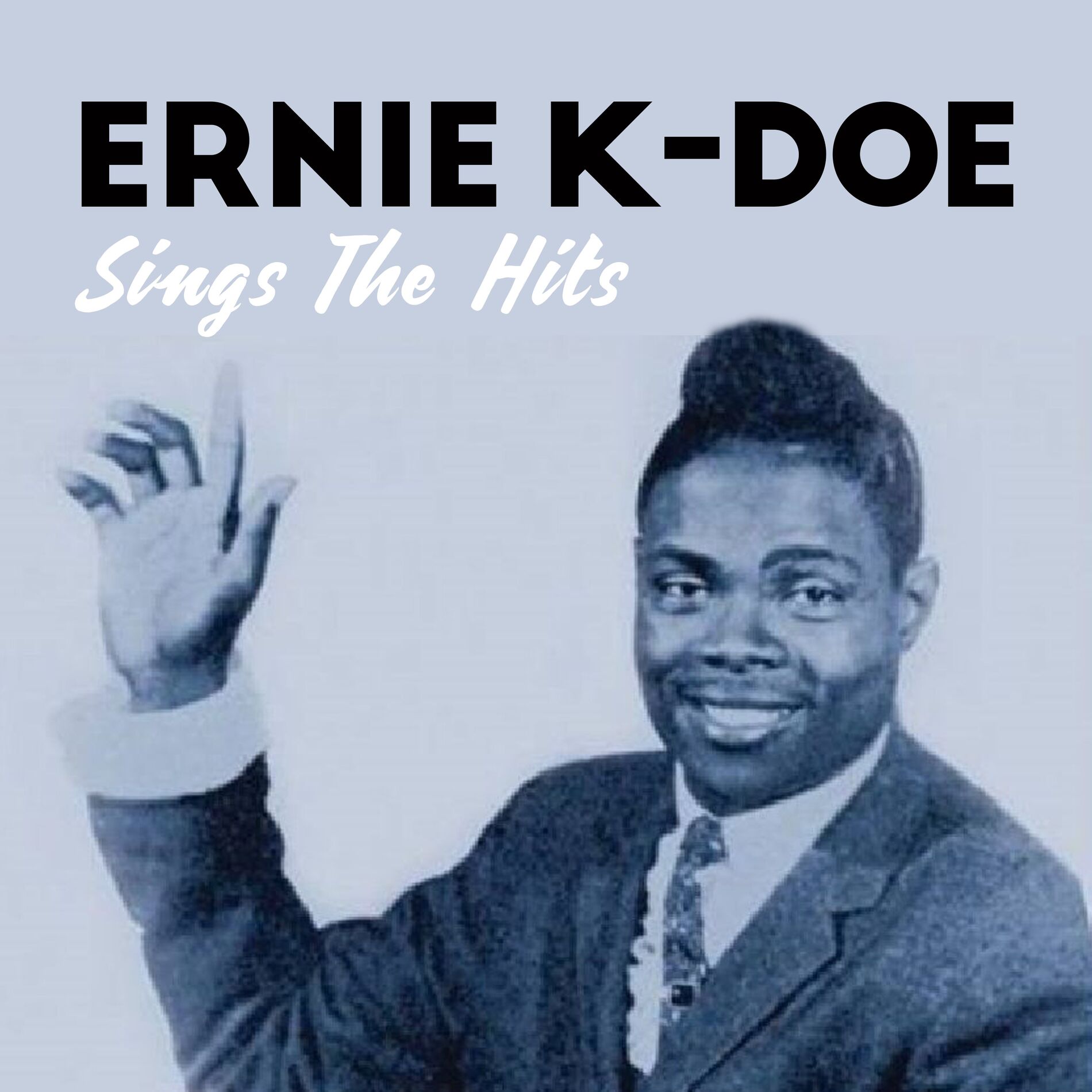Album cover of Sings The Hits