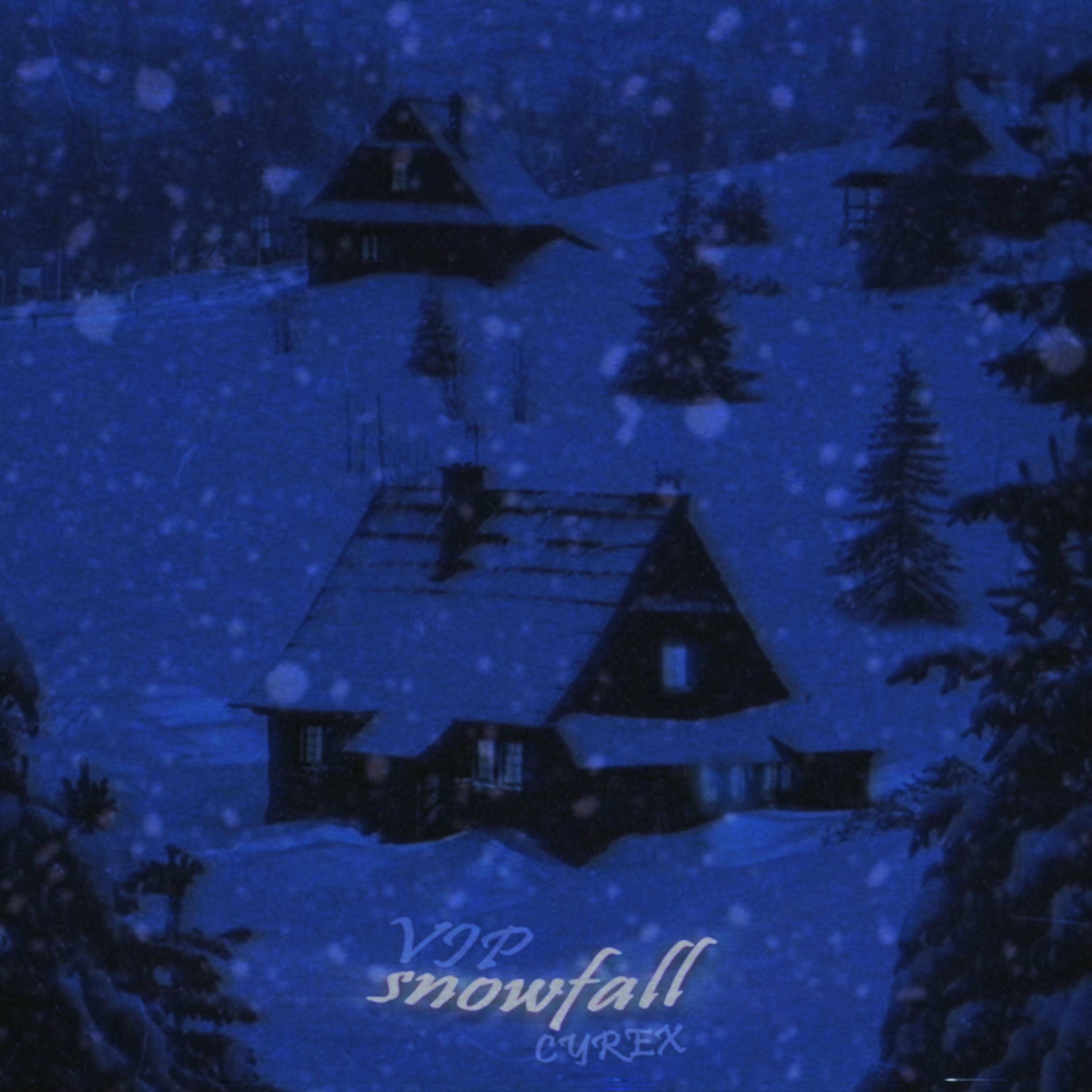 Album cover of SNOWFALL (VIP)