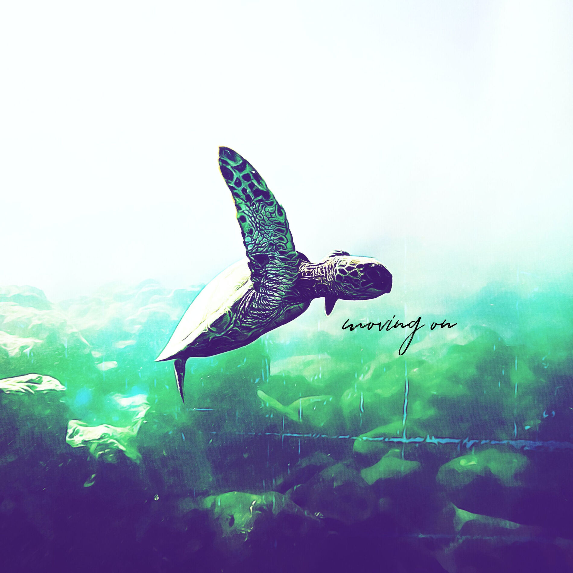 Album cover of moving on