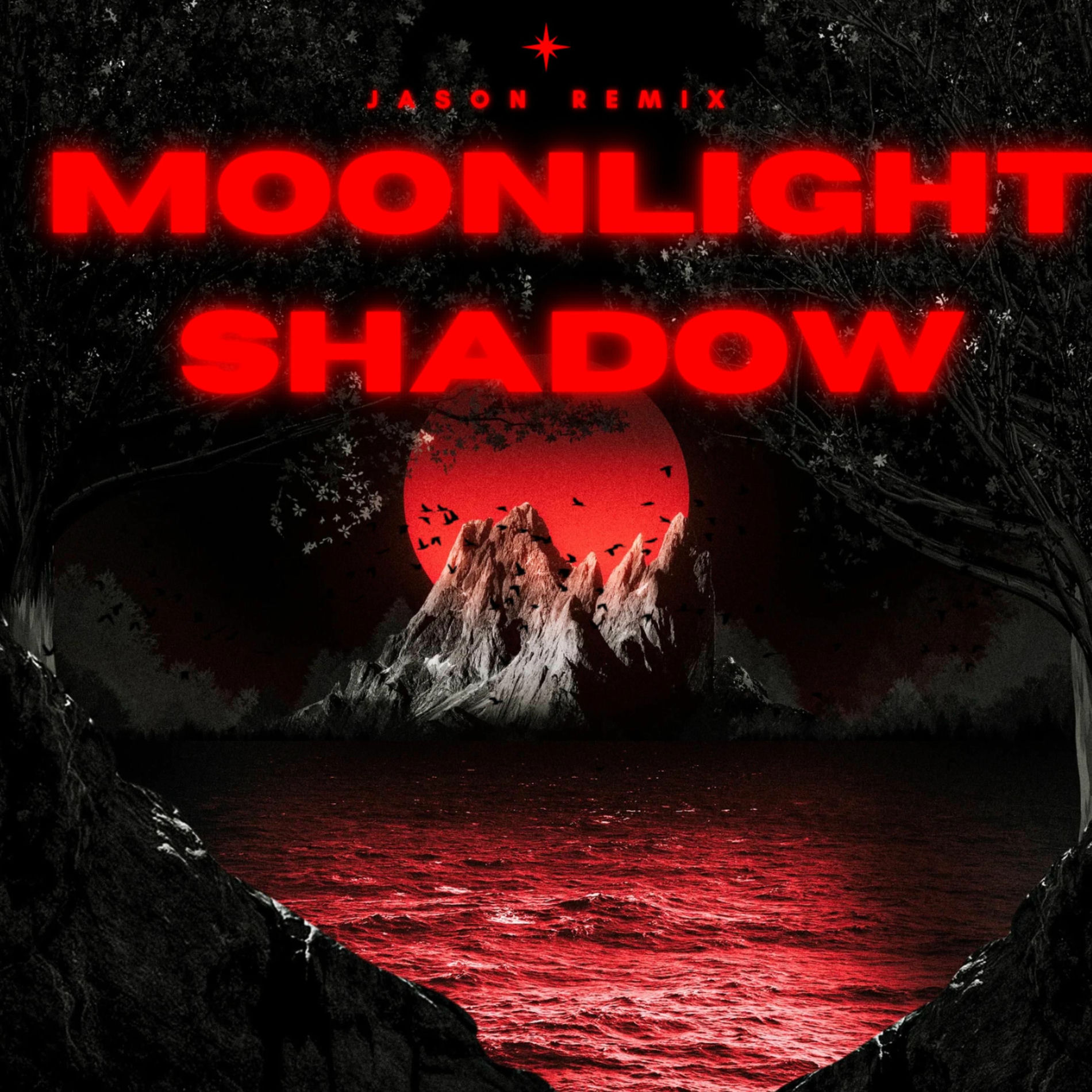 Album cover of Moonlight Shadow