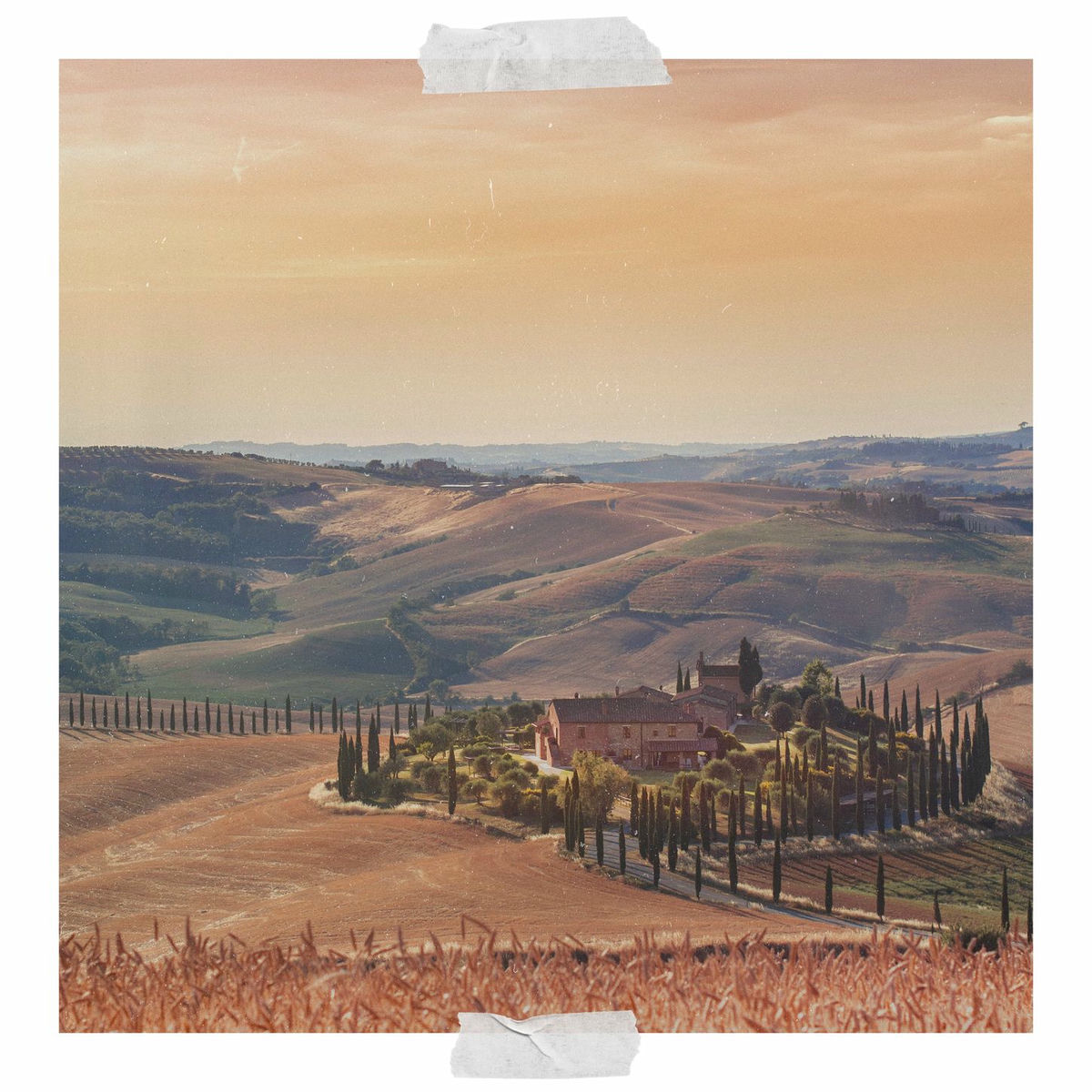 Album cover of sépia