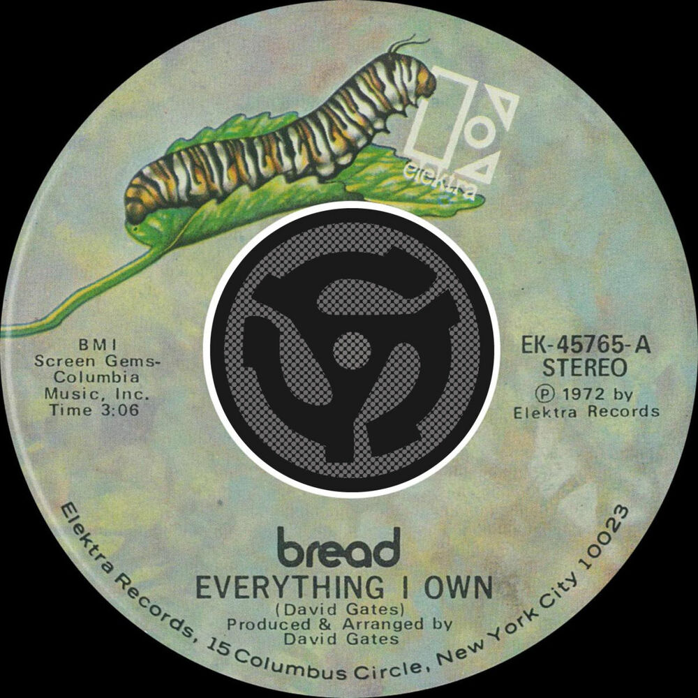 Picture of Everything I Own / I Don't Love You (45 Version)