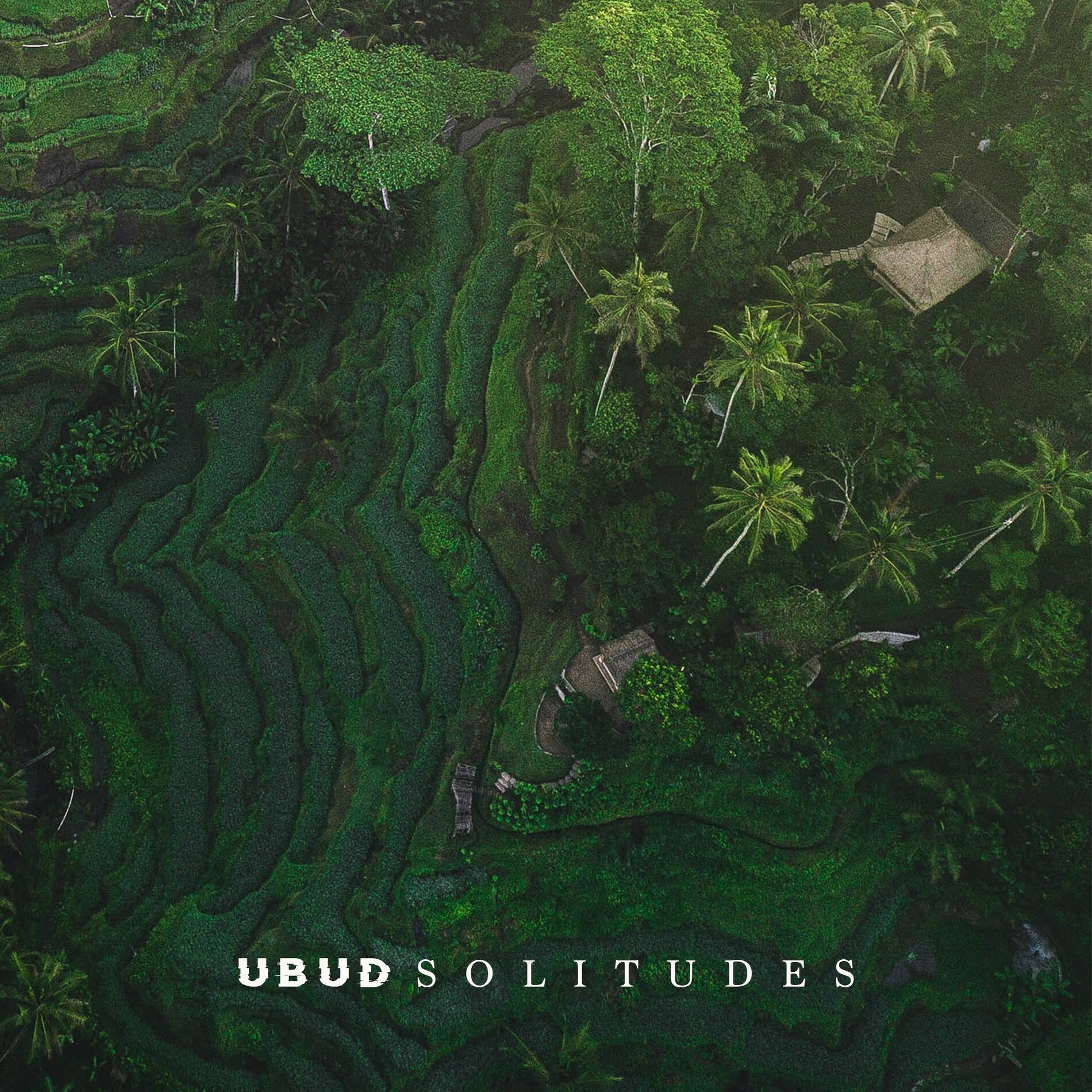 Album cover of Ubud