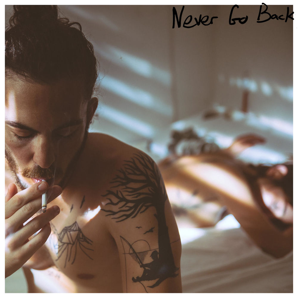Picture of Never Go Back