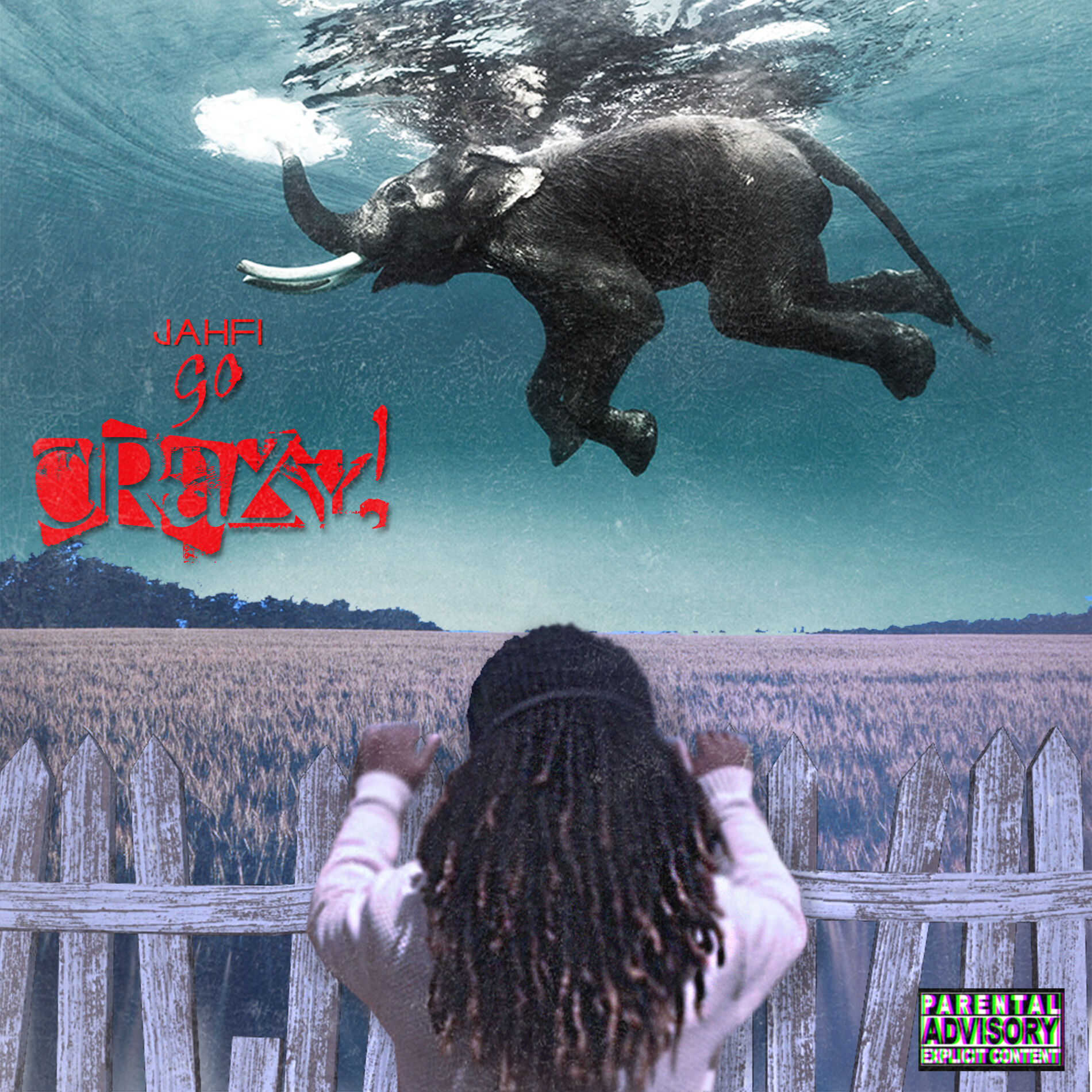 Album cover of Jahfi Go Crazy