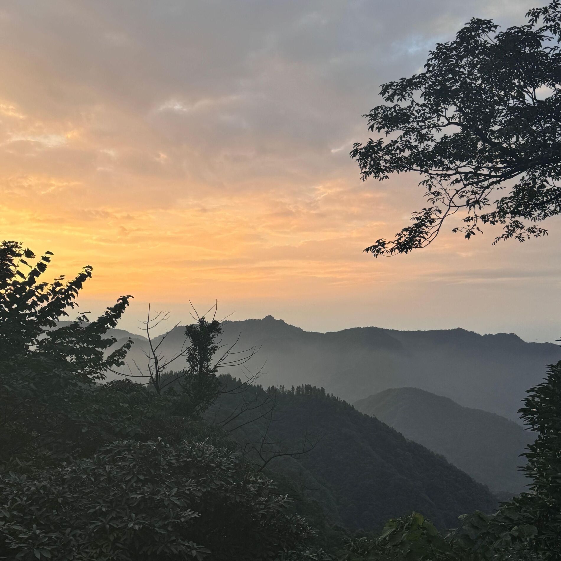 Album cover of 物语