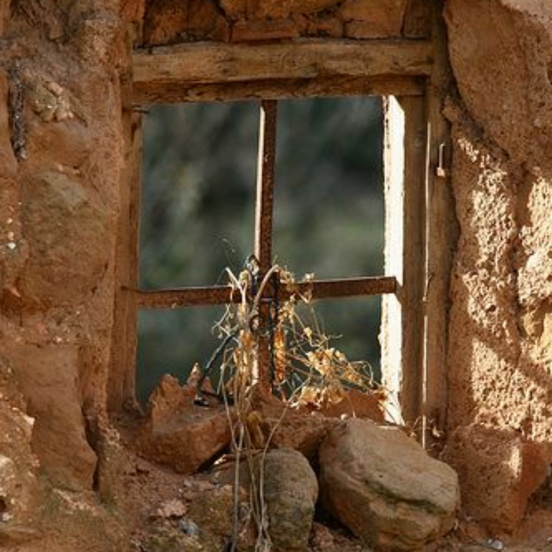 Album cover of Lens of the Heart! (feat. Yuka) [kaisaku Studio ver]