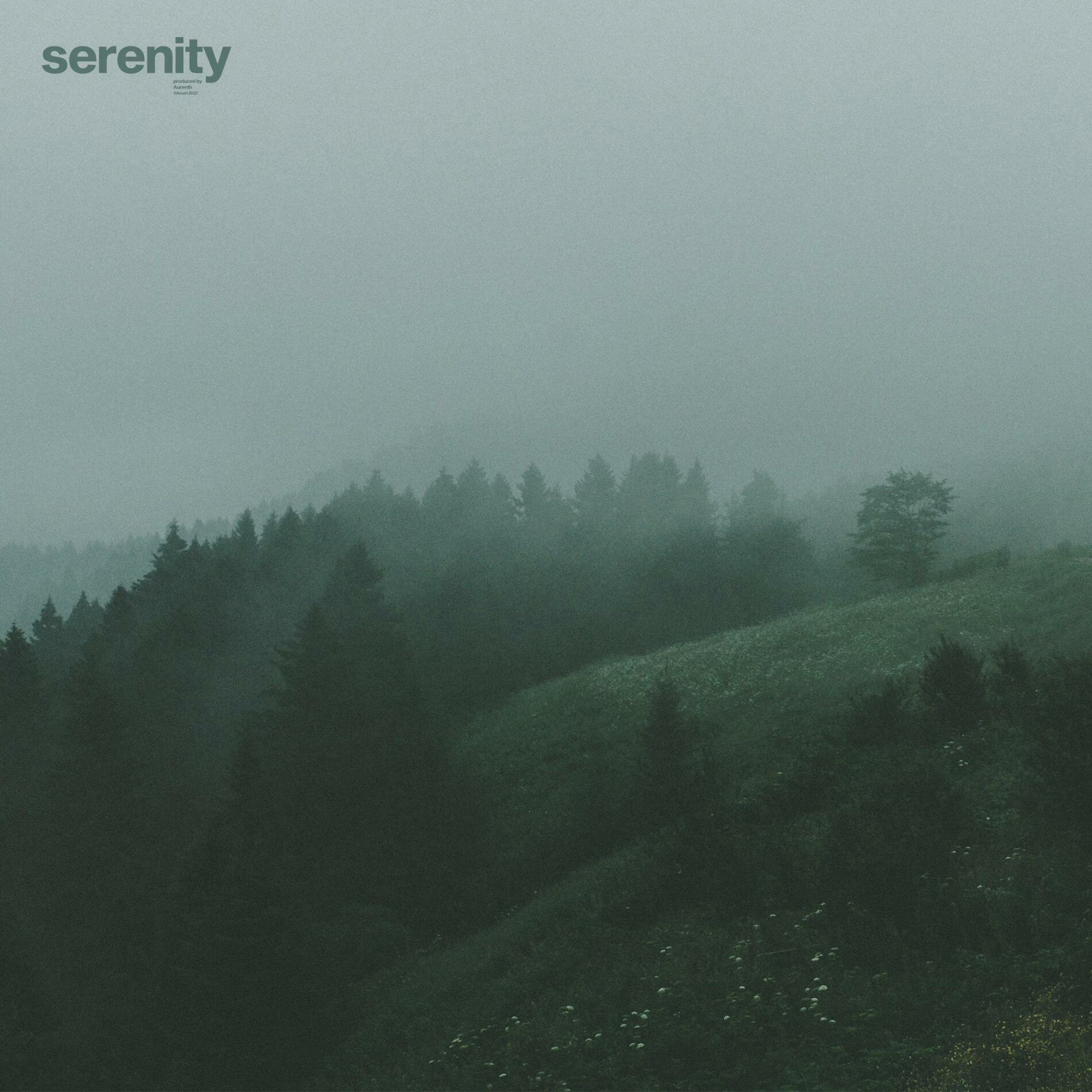 Album cover of serenity