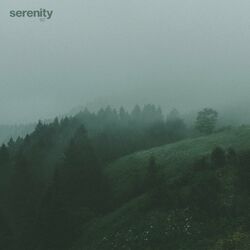 music cover