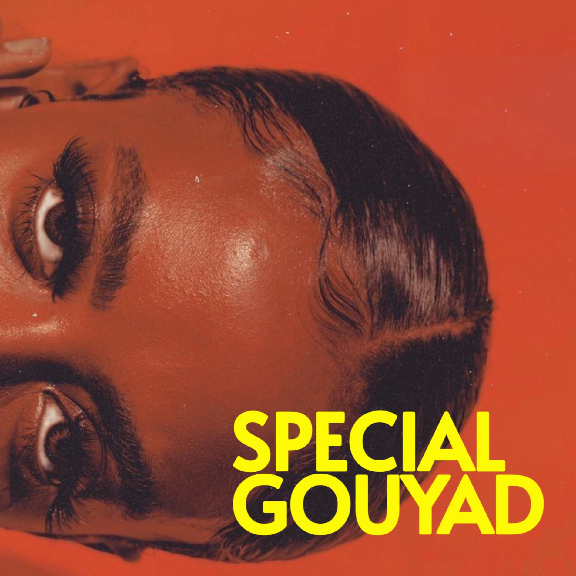 Album cover of SPECIAL GOUYAD-Zouk