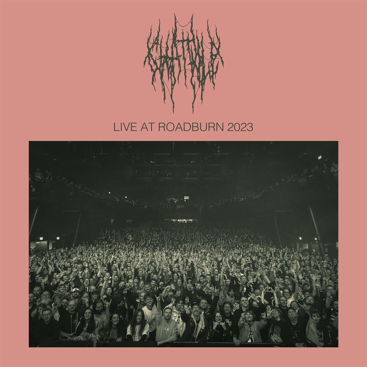 Album cover of Tropical Beaches, Inc. - Live at Roadburn, 2023