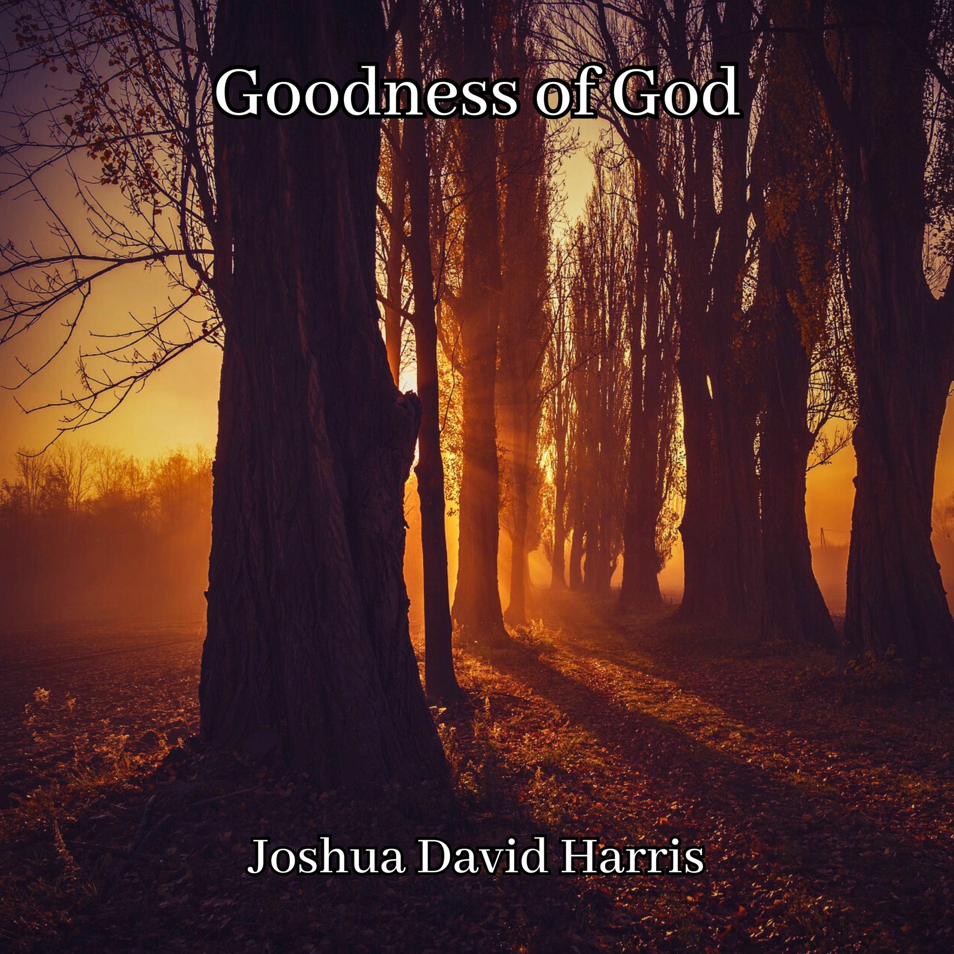 Album cover of Goodness of God