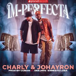 Cover of IM-PERFECTA (Prod. by Roberto Ferrante, Ernesto Losa)