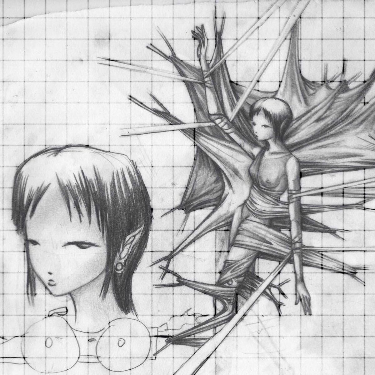 Album cover of THE DAMAGE CAUSED